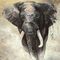 Pilttapeet Smart Art 33098 Elephant, 159×270 cm