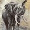 Pilttapeet Smart Art 33099 Elephant, 159×270 cm