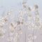 Tapeet Smart Art 34306 Lunaria