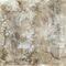 Tapeet Smart Art 35095 Shabby Jungle