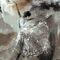 Pilttapeet Smart Art 35097 Ballerina Adele, 212×270 cm