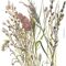 Pilttapeet Smart Art 35798 Delicate Grasses, 159×270 cm