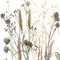 Pilttapeet Smart Art 35799 Delicate Grasses, 159×270 cm