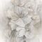 Pilttapeet Smart Art 36394 Blossoms Eva, 212×270 cm