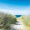 Pilttapeet Smart Art 42014 Marram Grass, 212×250 cm