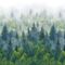 Tapeet Smart Art 96453 Forest Fog